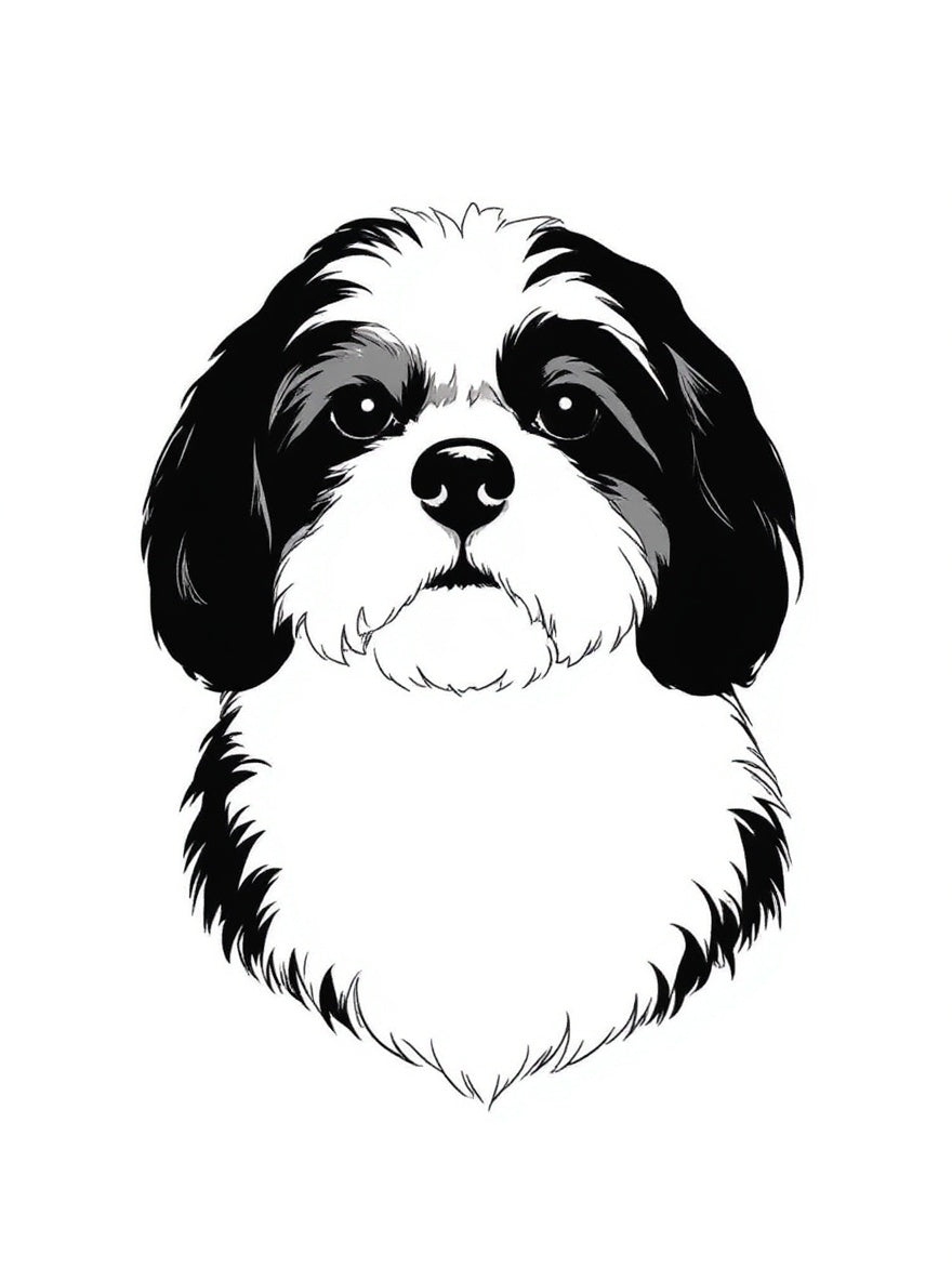 Retrato de Xana en silueta minimalista