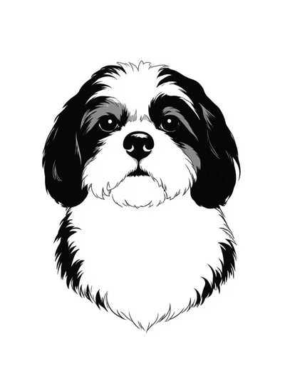Retrato de Xana en silueta minimalista