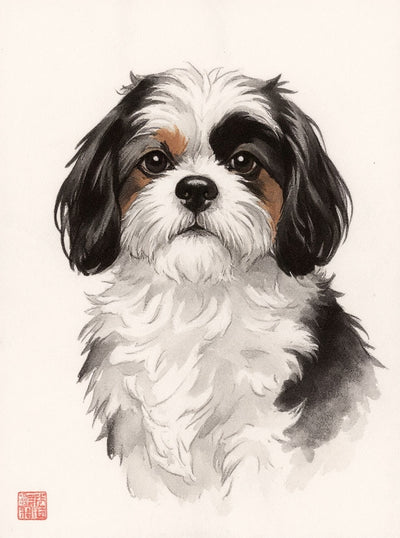 Retrato de Xana en sumi-e